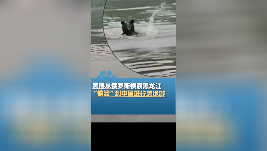 丁禹兮的玩偶是虞书欣同款,2025年新澳门今晚开奖结果开奖记录,决策资料解释落实_扩展版V8.24